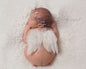 Newborn Photography Props White Angel Wing Baby
